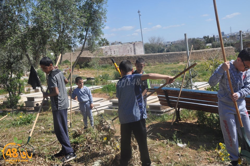 tasohamlalanjna (8).jpg